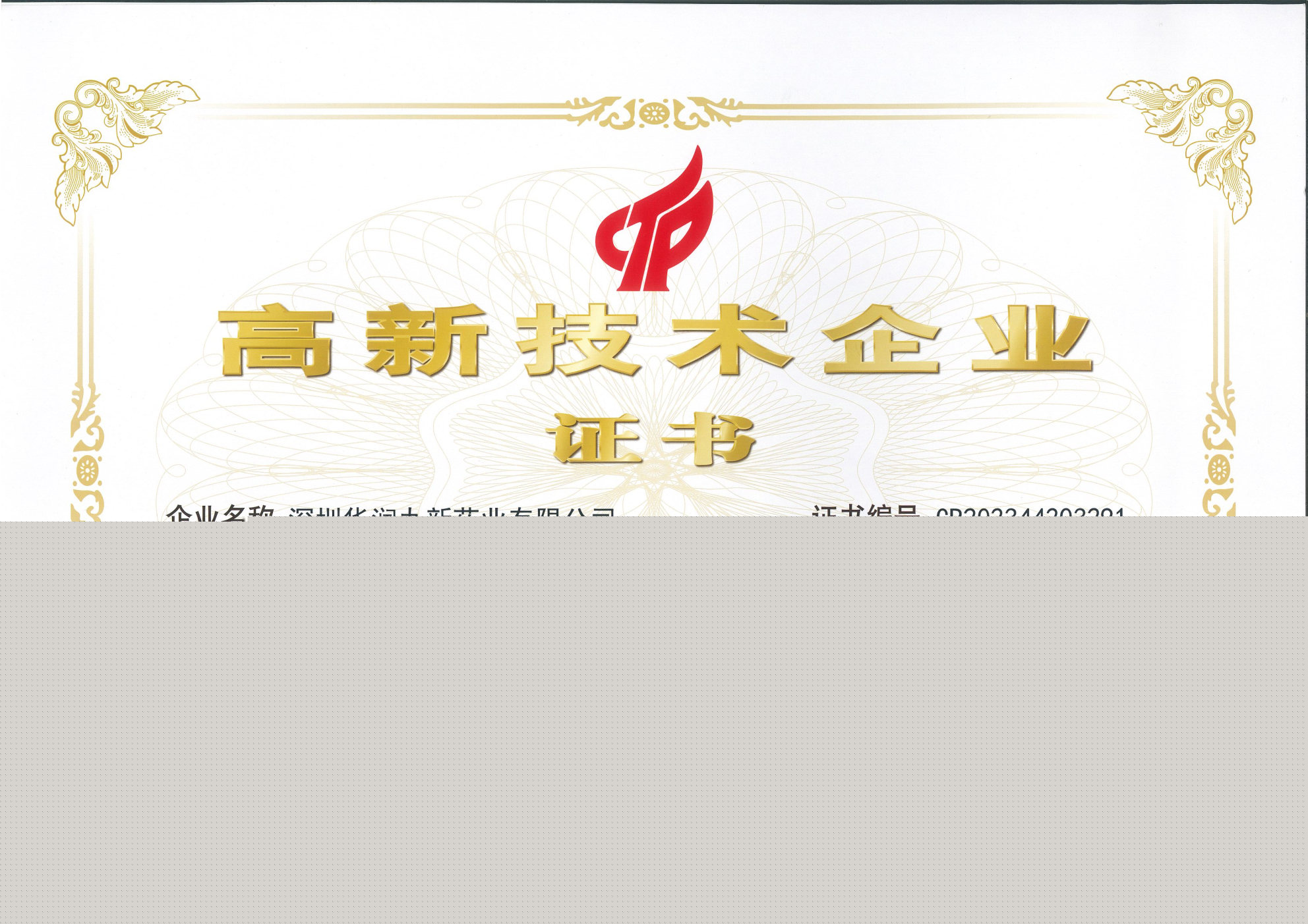 國家高新技術(shù)企業(yè)