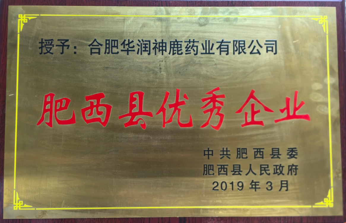 肥西縣優(yōu)秀企業(yè)