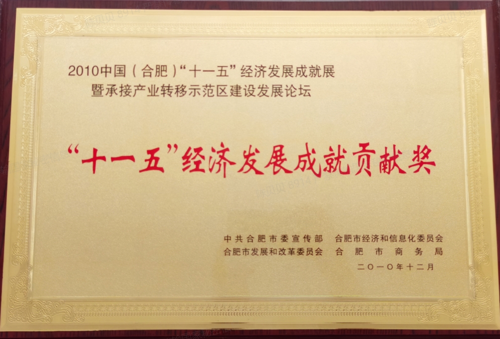 “十一五”經(jīng)濟發(fā)展成就貢獻獎（2010）